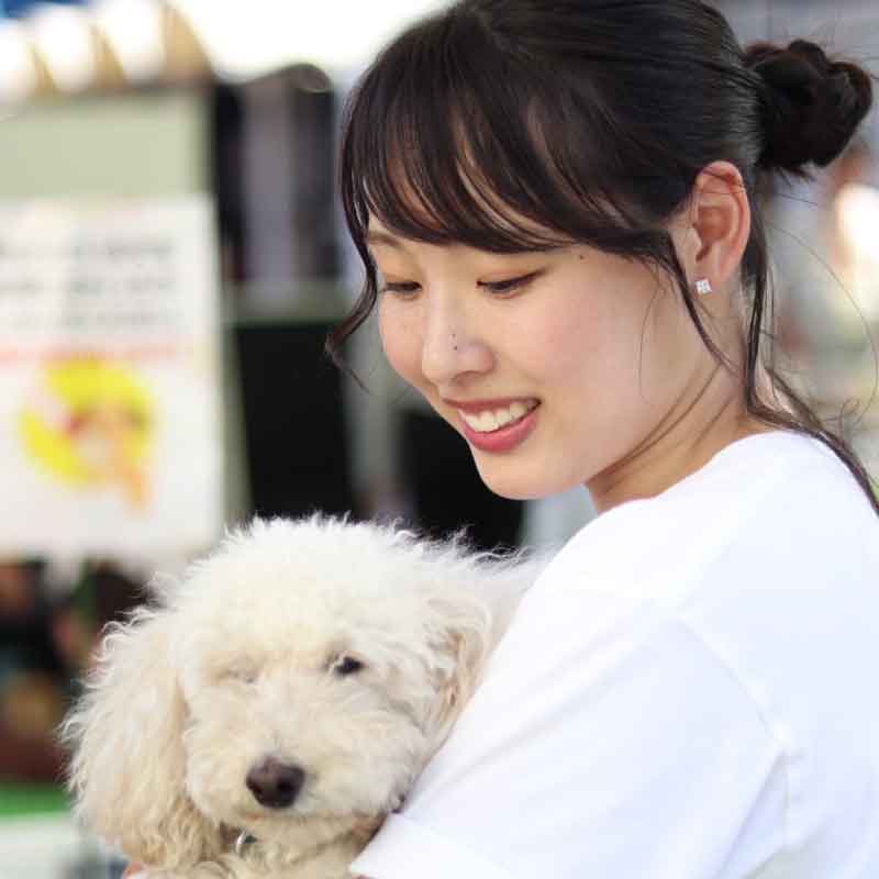 わんにゃんフェスティバル